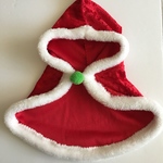 ⑤aibo用クリスマスフード付きマント
