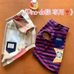 《 pino-dq様 専用❣️》オーダー犬服 2点セット
