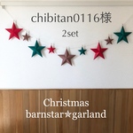 専用✯クリスマス✯バーンスターガーランド