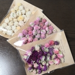💐花材◆▶️【約３０個×３袋】*　お徳用千日紅　ドライフラワー　*　花材　　パープル　ホワイト　ピンク