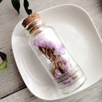【限定数】植物標本　Botaical Collection■No.42　スターチス　ファインイエロー