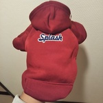 犬服パーカー