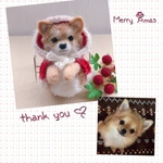 redberryjp様専用♡クリスマスわんこ『うちの子オーダー』 (mii wool&wool)