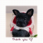 mihomouse様専用♡クリスマスわんこ(mii wool&wool)