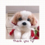 yunaqlo様専用♡クリスマスわんこ(mii wool&wool)