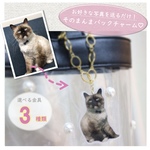 愛犬♡愛猫♡お子さまの写真で作る！そのまんまバックチャーム♡いつでもいっしょ♡クリスマス♡出産祝い♡誕生祝いにも♪ペットグッズ♡ペットオーナーさまへのサプライズプレゼント♪メモリアルギフトにもOK！