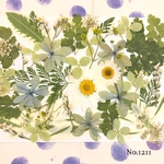 ♡new♡  ♡可愛い押し花セット♡ ♡使いやすい少量の押し花セット♡