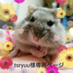 送料無料  tsryuu様専用ページ