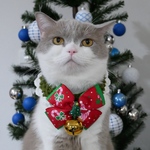 クリスマスの首飾り