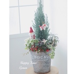 再販ꫛꫀꪝ✧‧˚Xmasサンタさんのツリー❁⃘*.ﾟプレゼントにも