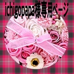 ichigopapa様専用ページ