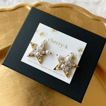 star snow bijou pierce