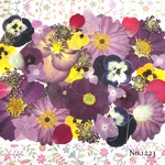 ♡new♡  ♡可愛い押し花セット♡ ♡使いやすい少量の押し花セット♡