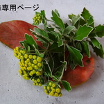 ふっくらローズのクッション