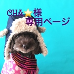 ☆cha様専用ページ☆