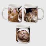 マグカップ オーダーメイド ペット プレゼント 猫 犬 記念品
