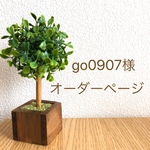 go0907様専用ページ
