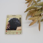 ◇オリジナル商品◇ Wanstagram_犬　【送料無料】 
