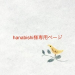 hanabishi様専用ページ