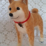 柴わんこ