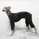 カラフルネック ロンパース イタグレ服