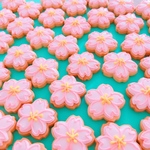 満開！桜クッキー