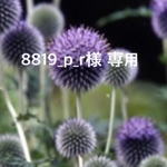 8819_p_r様 専用