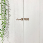 cleo様専用
