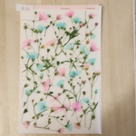 押し花かすみ草2色