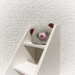 ころころくまちゃん 大（ライトグレー）