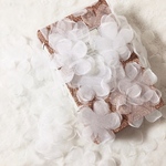 5枚セット オーガンジー フラワー 花 モチーフ 白 BK191143 ハンドメイド 手芸 素材 材料