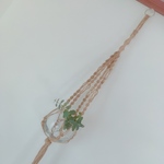 プラントハンガー 