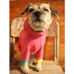 雨の日の犬服！B48㎝ 防水 防風 スウェット ラグラン クシュクシュタートル 　ピンク×カラフル その1