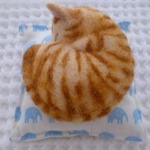 まる猫（茶トラ）