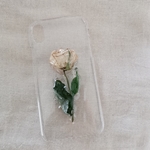 dryflower iPhoneケース【white】