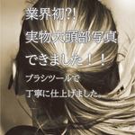 二種類以上のご購入で一枚サービス！　意匠権　着画　撮影　に便利　モデル　ヘアアクセサリー作家様向け　実物大　頭部　イラスト