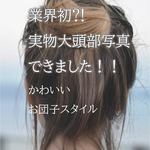 二種類以上のご購入で一枚サービス！　意匠権　過去ランクイン4位　撮影　着画に便利　モデル　ヘアアクセサリー作家様向け　実物大　頭部　イラスト