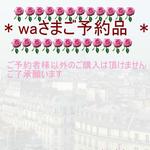 saly☆waさまご予約*品★*―――――*