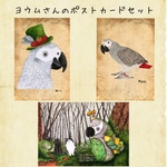 ポストカード＊ヨウムさんセット＊