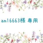 ☆am16663様専用ページ☆