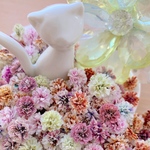 かすみ草ドライフラワー