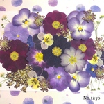 ♡new♡  ♡可愛い押し花セット♡ ♡使いやすい少量の押し花セット♡