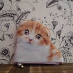 限定バージョンMY CAT×DOG ポーチ Scottish Fold Shorthair 
