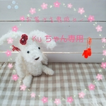 ※※※専用カート※※※