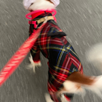 犬服リボン付きオールインワンロンパースタータンチェックウール混新作冬物