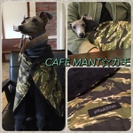 ML☆CAFE MANT☆カモ