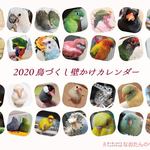 2020年 鳥づくし壁掛けカレンダー