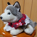 ＱTシュシュ(タータンチェック)