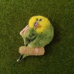 ♥️羊毛フェルト  インコさんブローチ♥️
