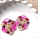 flower❀sweet  alyssum